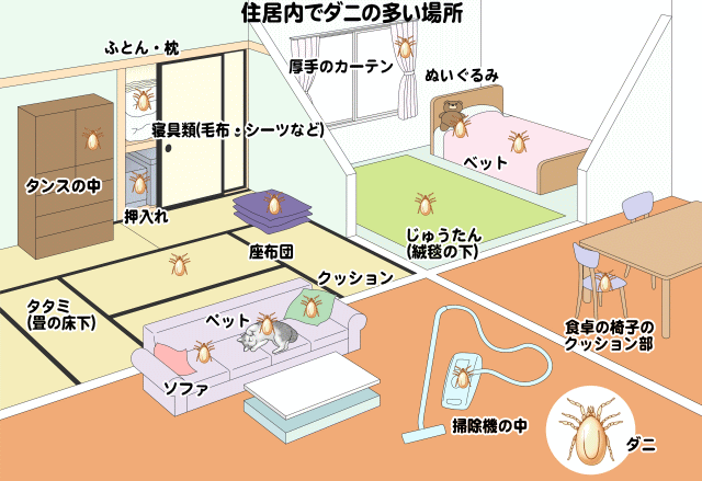 住居内でダニの多い場所